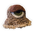 Stash Eye Bucket Hat